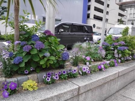 神戸ならではの素敵な花壇 花と緑のまち推進センター
