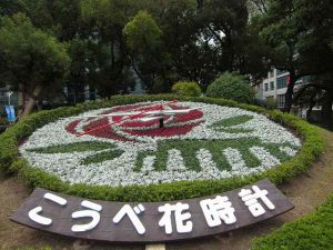 Kobe Flower Clock Close Move Flower Greenery Promotion Center