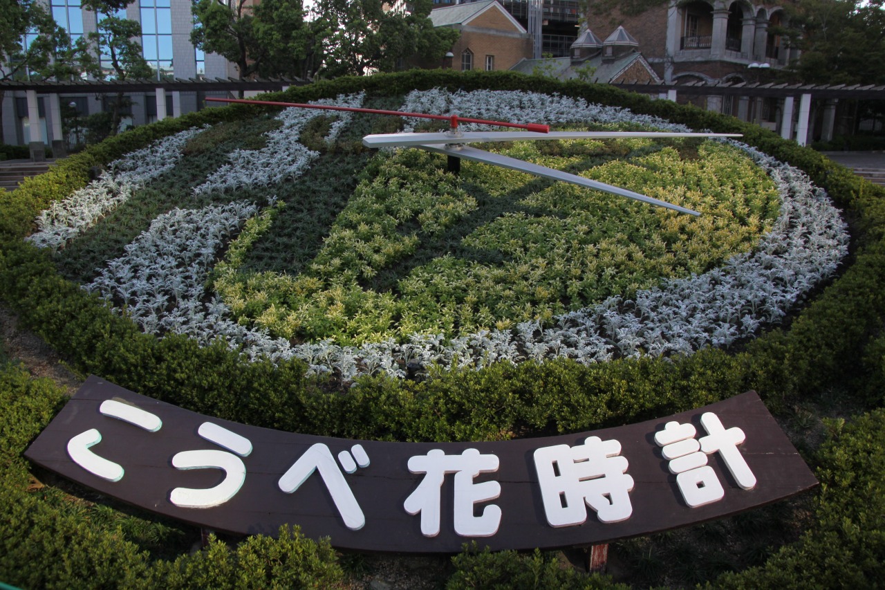 Kobe Nomachinaka Flower Bed Page 3 Flower Greenery Promotion Center Kobe Nomachinaka Flower Bed Page 3 Flower Greenery Promotion Center