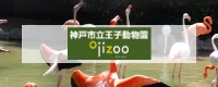 神戸市立王子動物園