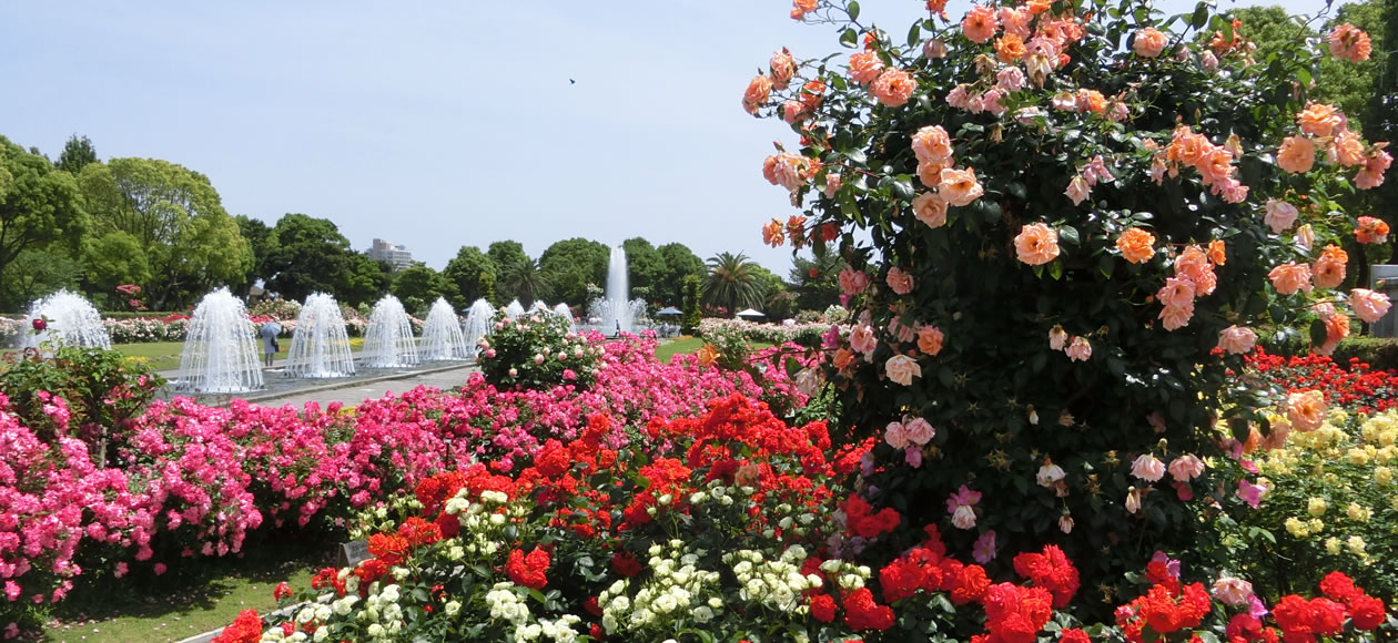 神戸市立 須磨離宮公園