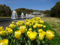 年間イベント情報 神戸市立 須磨離宮公園 年間イベント情報 神戸市立 須磨離宮公園