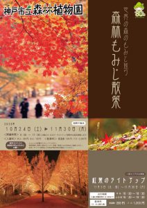 森林もみじ散策 神戸市立森林植物園