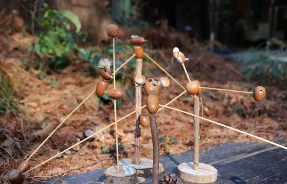 イベント情報 神戸市立森林植物園 イベント情報 神戸市立森林植物園