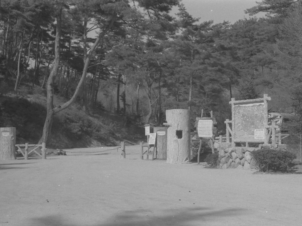 1954年（昭和29） 正門景観