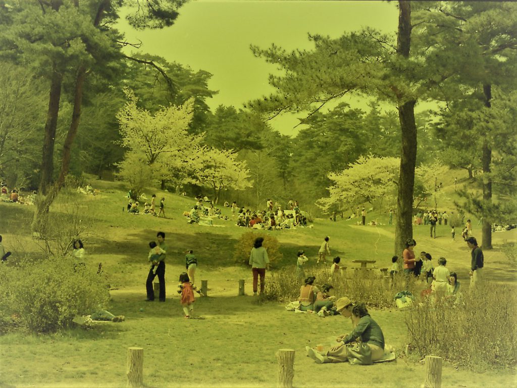 1979年（昭和54） 長谷池芝生広場景観