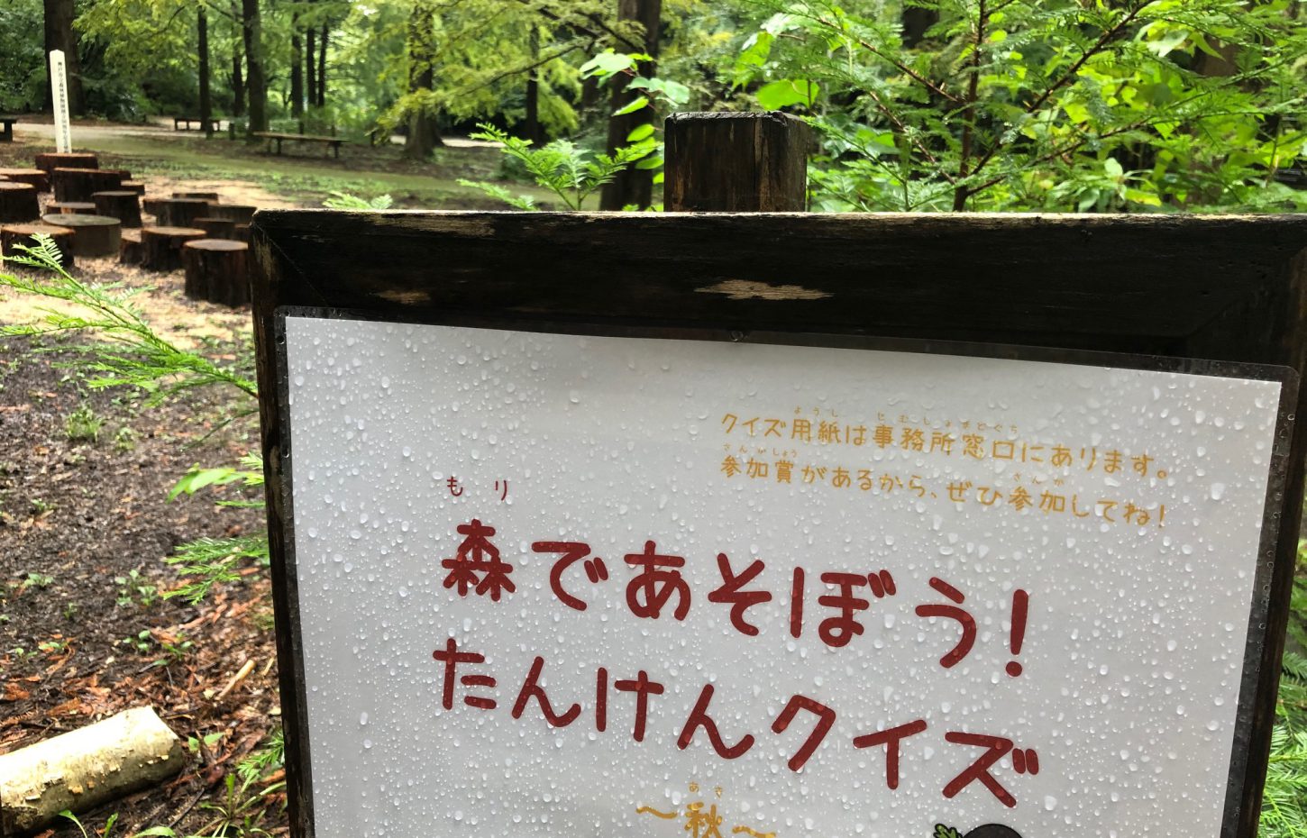 森であそぼう たんけんクイズ 秋 神戸市立森林植物園 森であそぼう たんけんクイズ 秋 神戸市立森林植物園