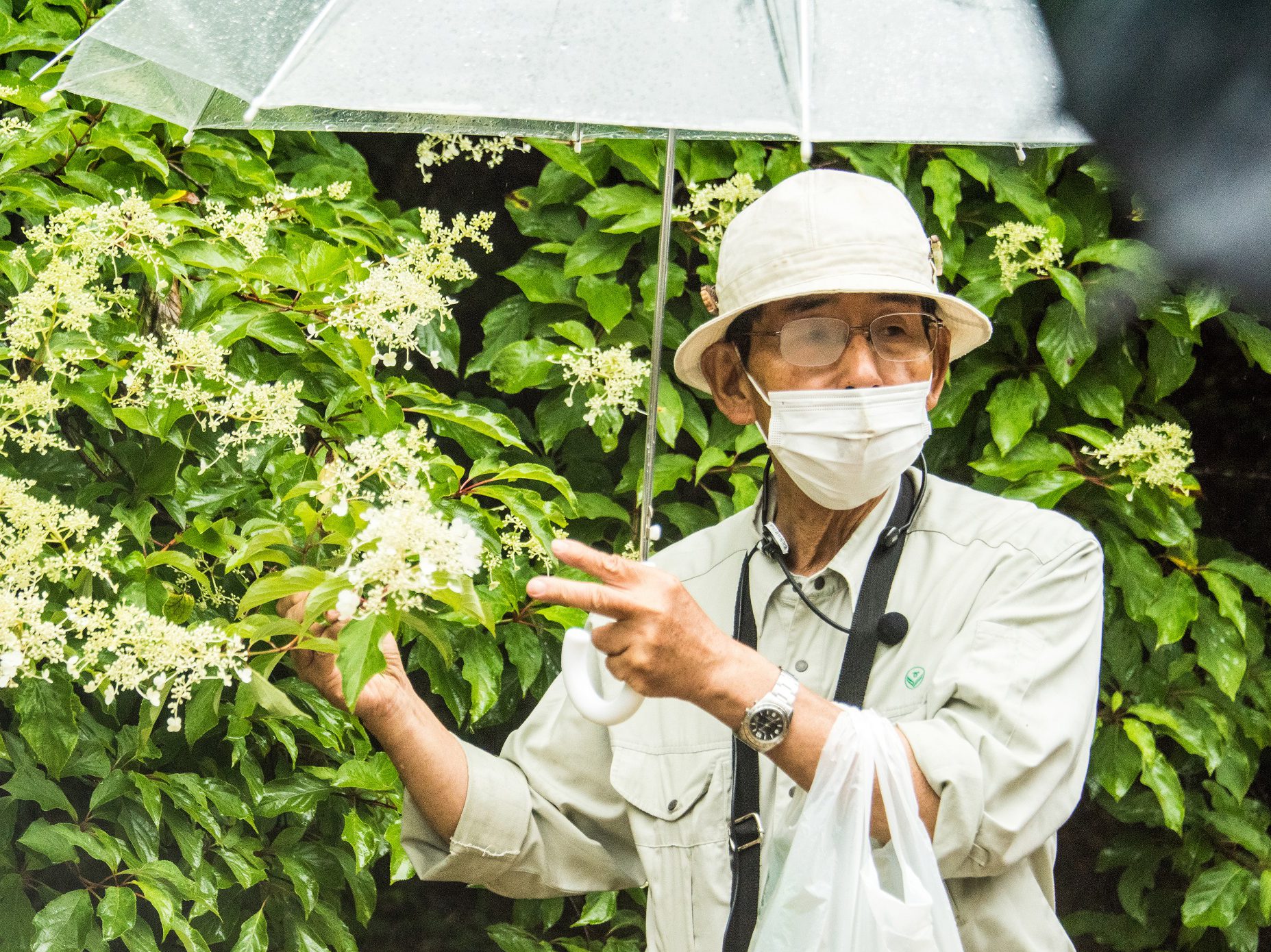 第3回 自然観察講座 梅雨の花々に出会おう 雨に似合う花めぐり 神戸市立森林植物園