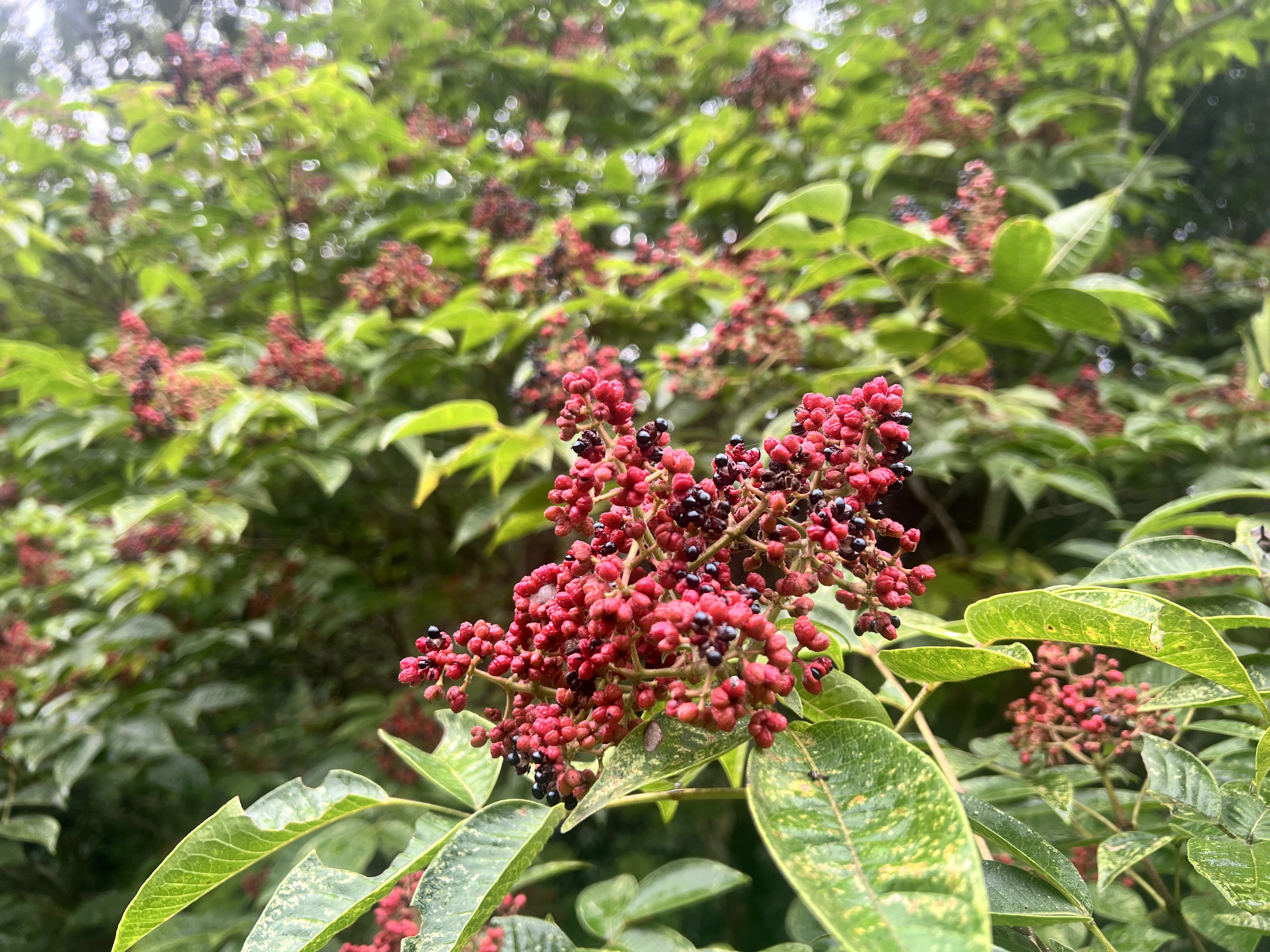 2025年10月31日号