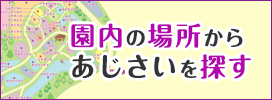 園内の場所からあじさいを探す