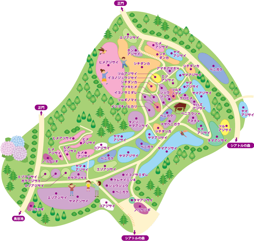 園内の場所からあじさいを探す 神戸市立森林植物園あじさい情報センター
