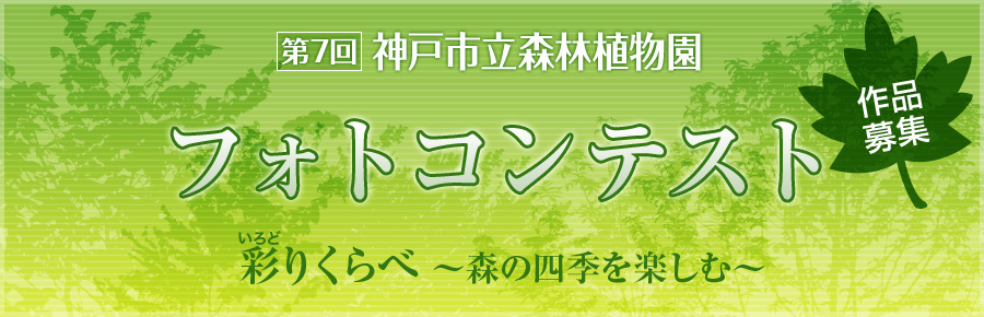 第7回 神戸市立森林植物園フォトコンテスト 彩りくらべ 〜森の四季を楽しむ〜