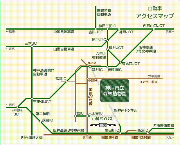 自動車 アクセスマップ