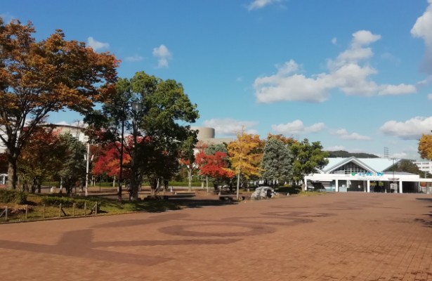 公園のルール＆マナー