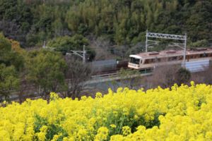 お知らせ・イベント