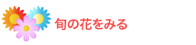 旬の花