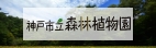 神戸市立森林植物園
