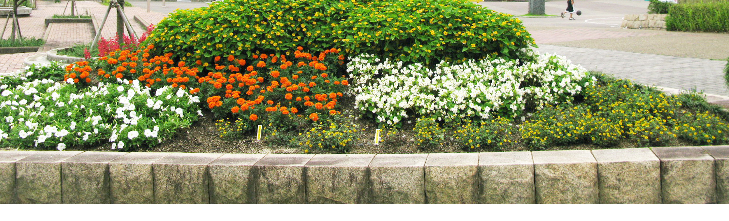 https://www.kobe-park.or.jp/sougou/wp-content/themes/sougou2016/images/category_picture/event.jpg