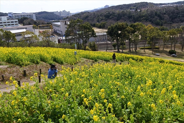 神戸総合運動公園 Kobe Sports Park 神戸総合運動公園 Kobe Sports Park